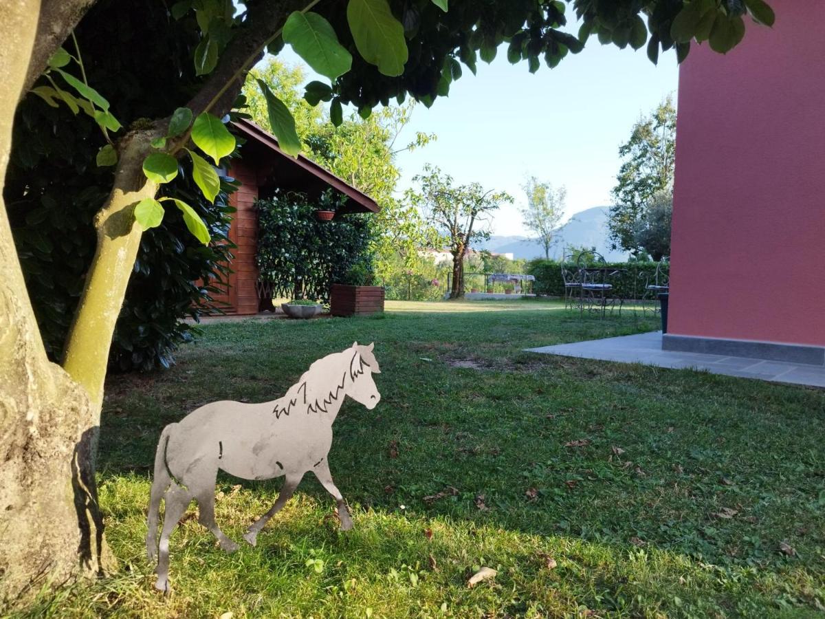 La Casina Villa Barga Exterior photo