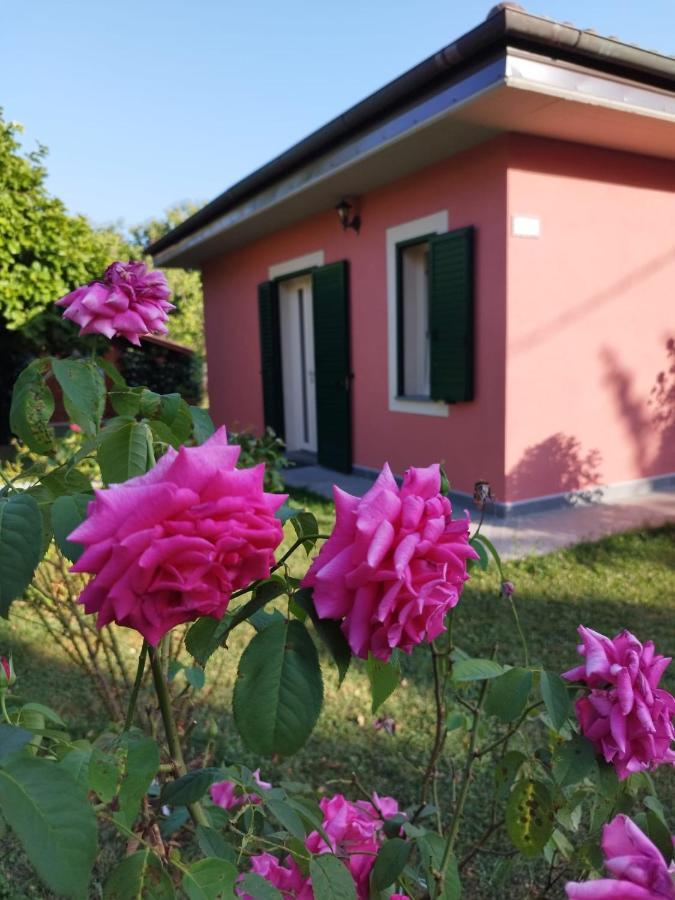La Casina Villa Barga Exterior photo